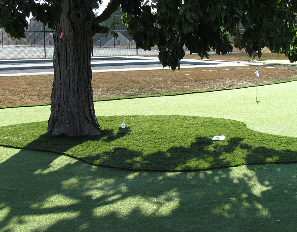 putting green with fake grass in whitby ontario