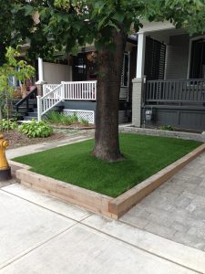Great solutions for small areas under trees