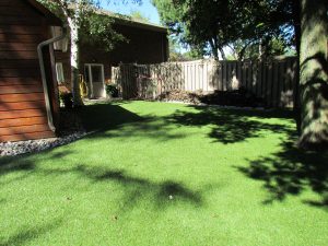 Shaded backyard is hard to grow real grass