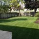 Larger backyards artificial grass will save time & money