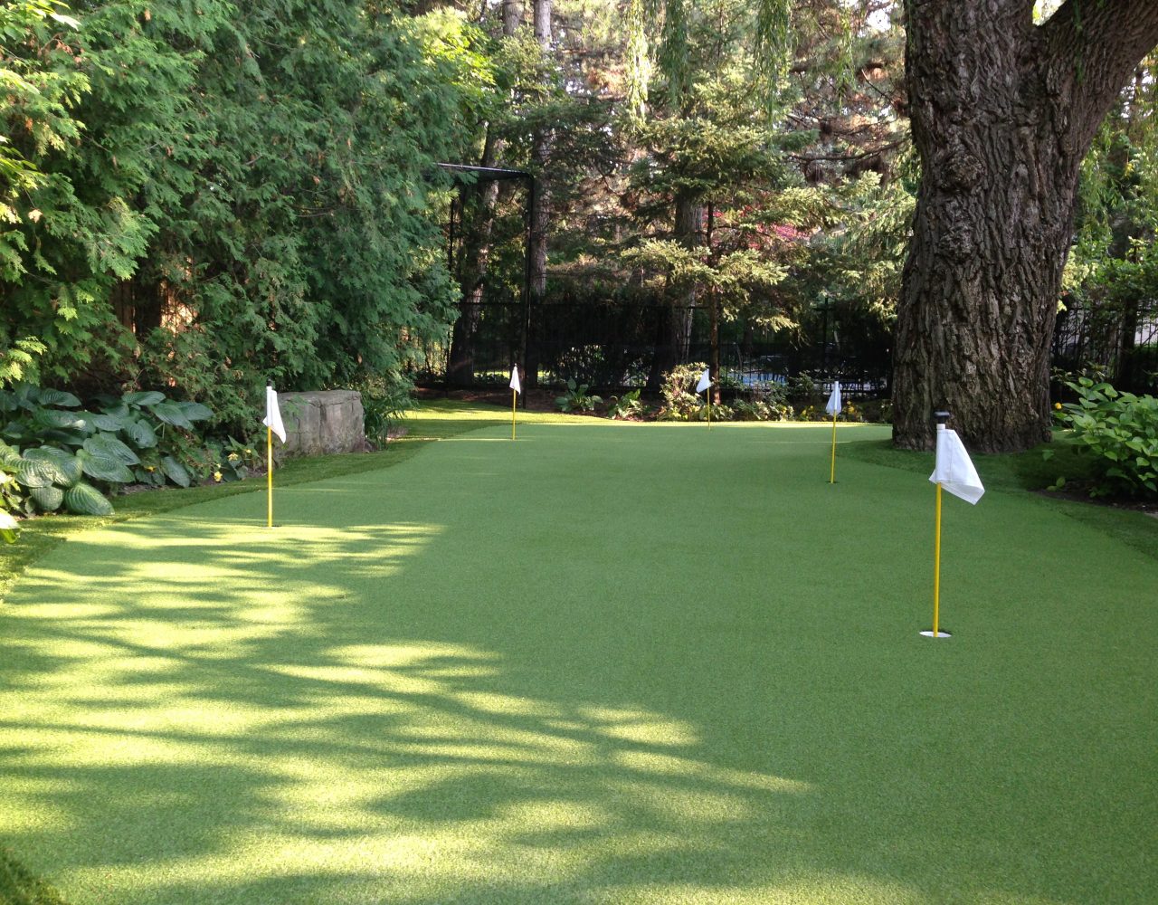 Impeccably designed and installed 5 hole green for our Toronto Client