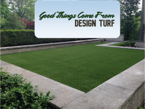 Good things come from Design Turf 