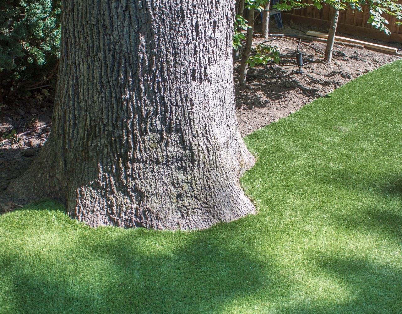 How to install artificial grass around a large tree
